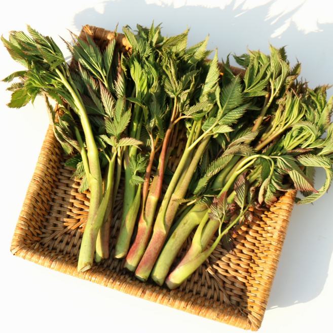 [압도적 신선함]당일수확 국내산 눈개승마, 1박스, 1kg