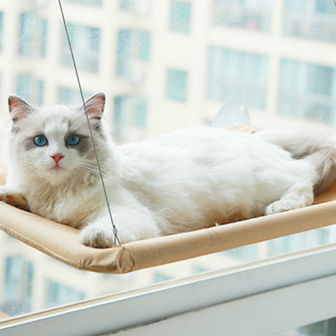 시스제이 예홈펫 고양이 캣 창문 해먹 숨숨 집 타워 방석 침대, 베이지아