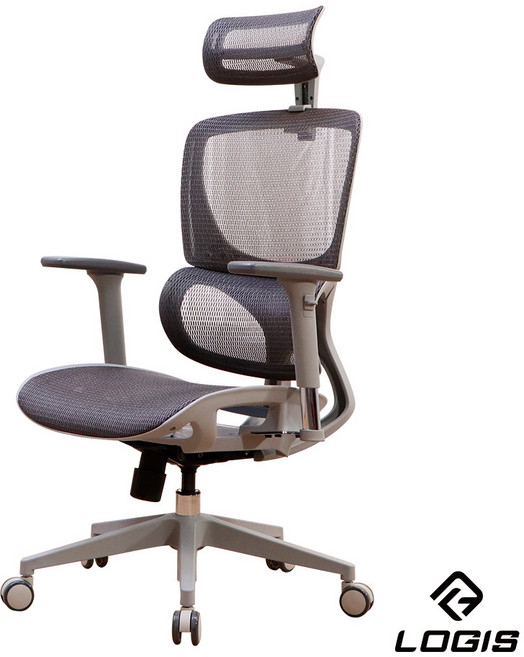 LOGIS 人體工學椅 高背電腦椅 辦公椅 書桌椅 全網椅 附頭枕 SGS認證 1年保固【103H】, 灰色(組裝好)