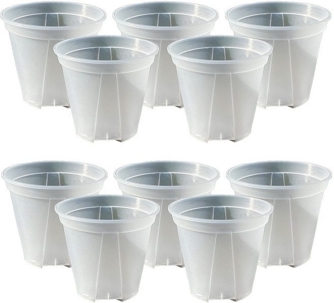 앙플랜트 숨쉬는 슬릿화분 10p, 투명, 10개