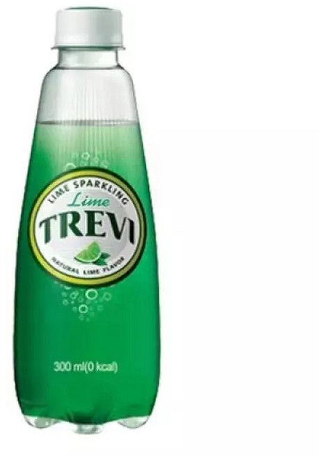 음료수(트레비) 라임 300ML (1박스20펫), 20개