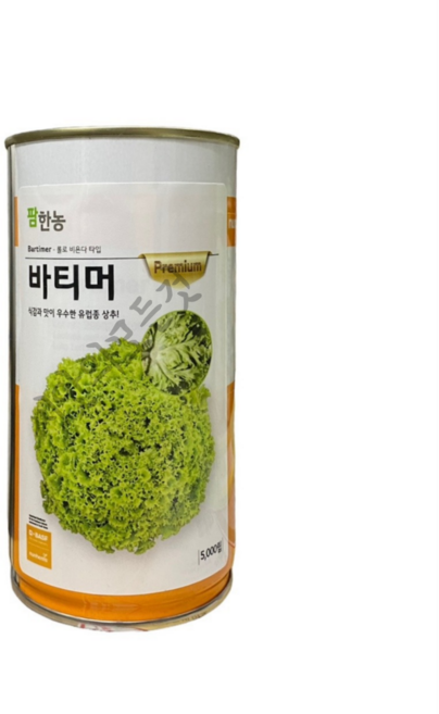 바티머 유럽상추 씨앗 5000립 대포장 대용량 롤로비욘다 타입 네덜란드 상추 종자 팜한농, 1개
