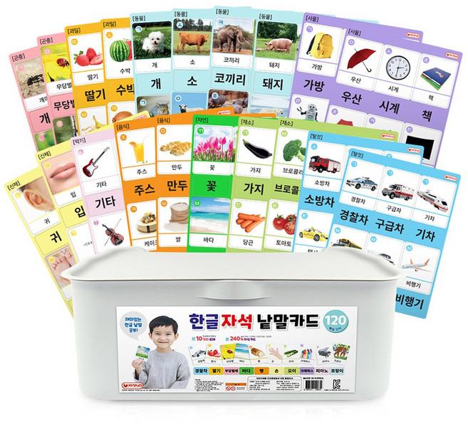 자석나라 한글 자석 낱말카드 240pcs, 1개