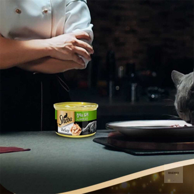 아이서 참치 도미 85g 고양이약먹이기