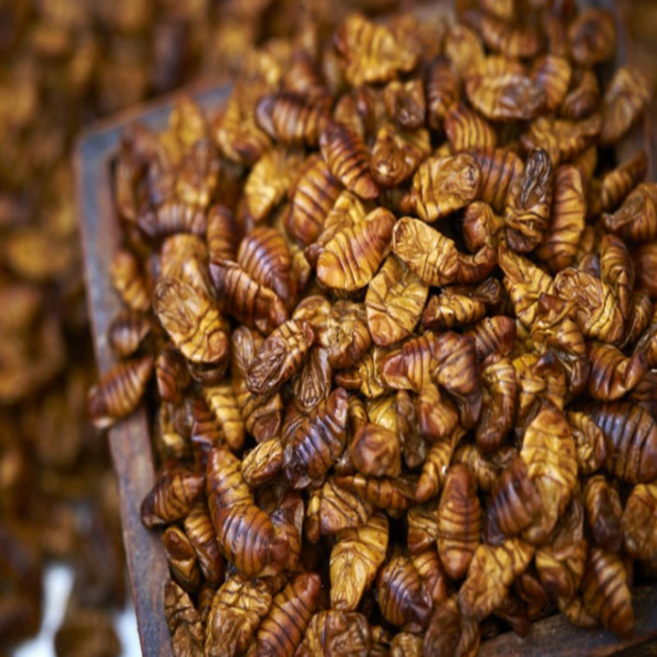 특A급 번데기 냉동번데기 4kg 2kg 1kg 500g, 1개