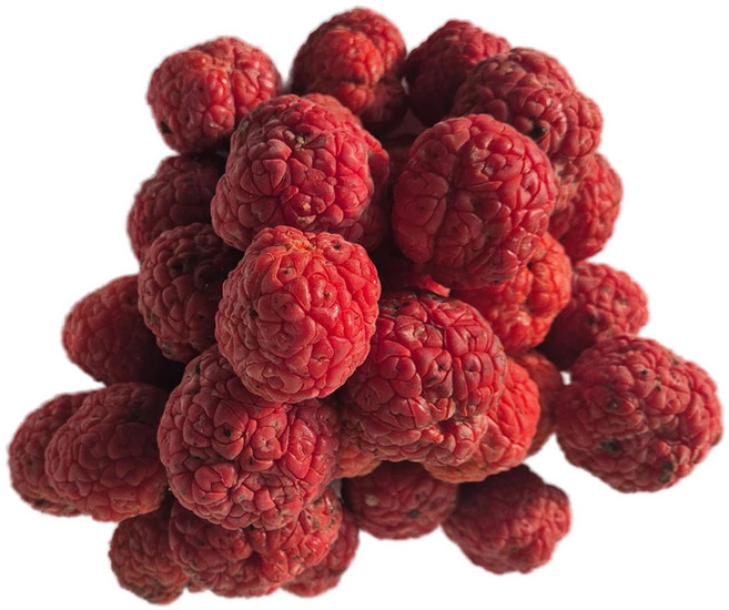 친환경유기농꾸지뽕열매냉동, 4kg