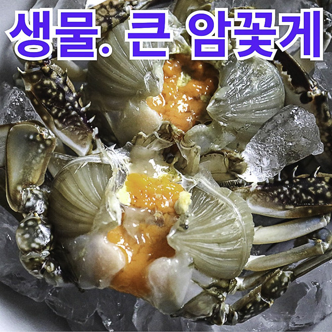 [서해안-자연산] 산지직송 살아있는 알배기 암꽃게, 1박스, 2kg (8~12 미)