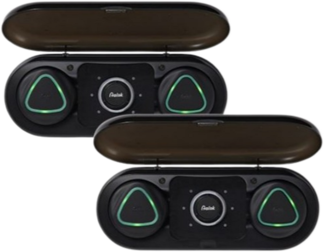 알록패치 더블 적외선 근육통 완화 의료기기 온열찜질기 2구 2개, PALPD-400M