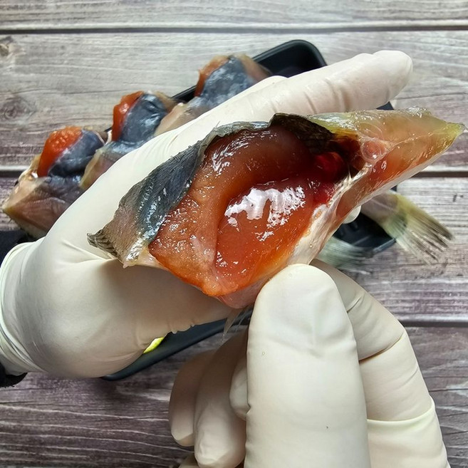 국내산 손질 반건조 참가자미 알가자미 두절 알배기 가자미 자연산, 1개, 700g