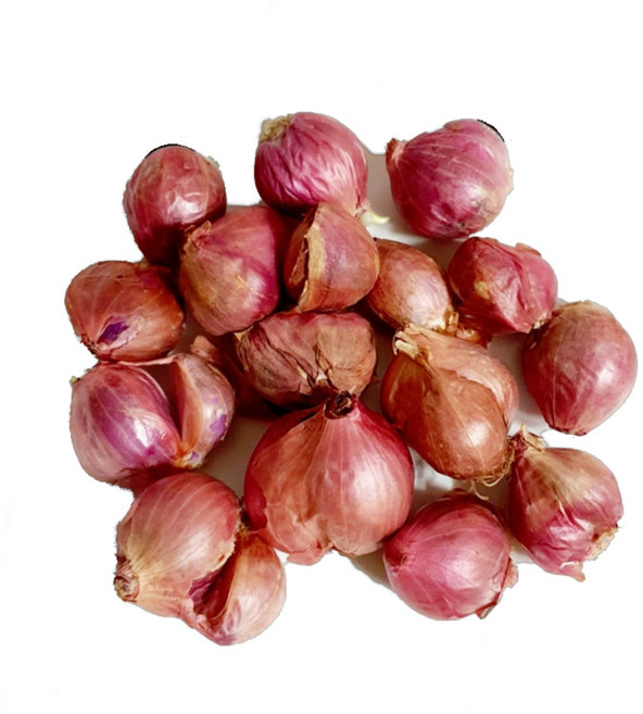 샬롯 미니양파 shallot, 1개, 100g