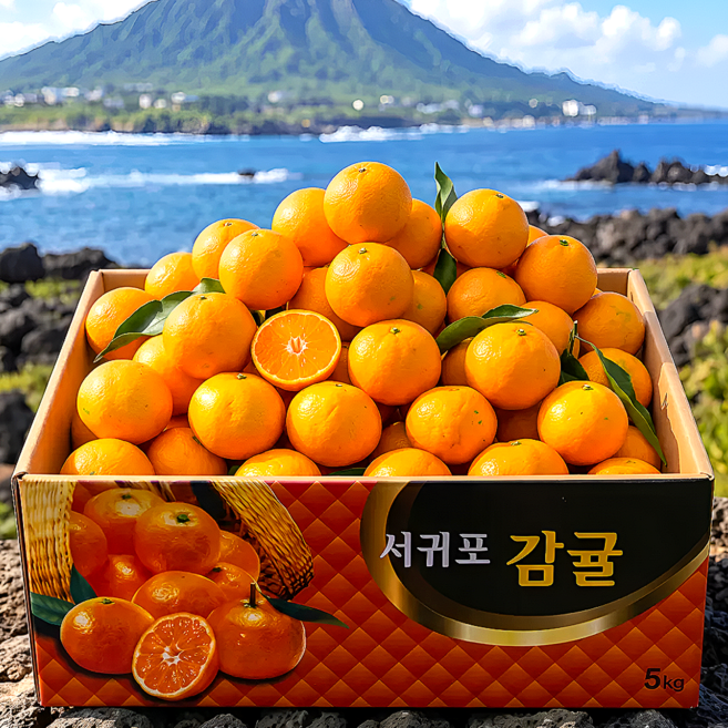 [최고15brix] 고당도 햇 제주 감귤, 1개, 10kg
