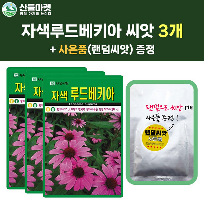 산들마켓 자색 루드베키아 씨앗 100립 자색 에키네시아 꽃씨 3개+랜덤 씨앗 1개 증정