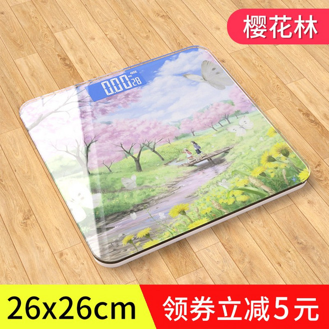 미래직구 USB 체중계 디지털 몸무게 측정기, 3번, 없음