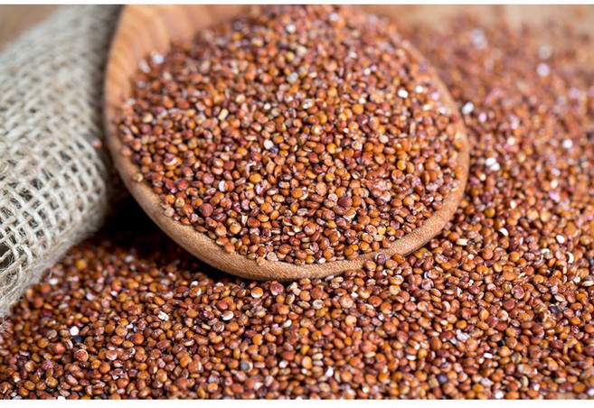 紅藜麥 500g, 1個, 500g 紅藜麥