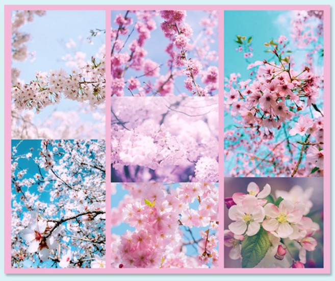 디자인달 [1000원 스티커 세트] 다이어리꾸미기 감성 빈티지 인스, 05-벚꽃 엔딩(5장)