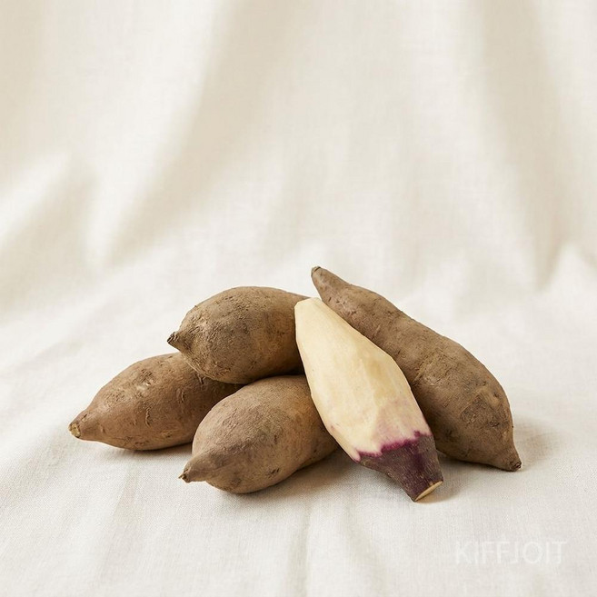 시원달달 특상품 야콘 제니오숲, 맛보기 야콘 500g
