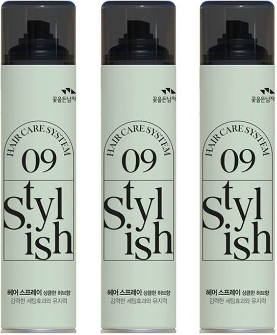 꽃을든남자 스타일리쉬 헤어 케어 시스템 헤어스프레이 상큼한 허브향, 300ml, 3개