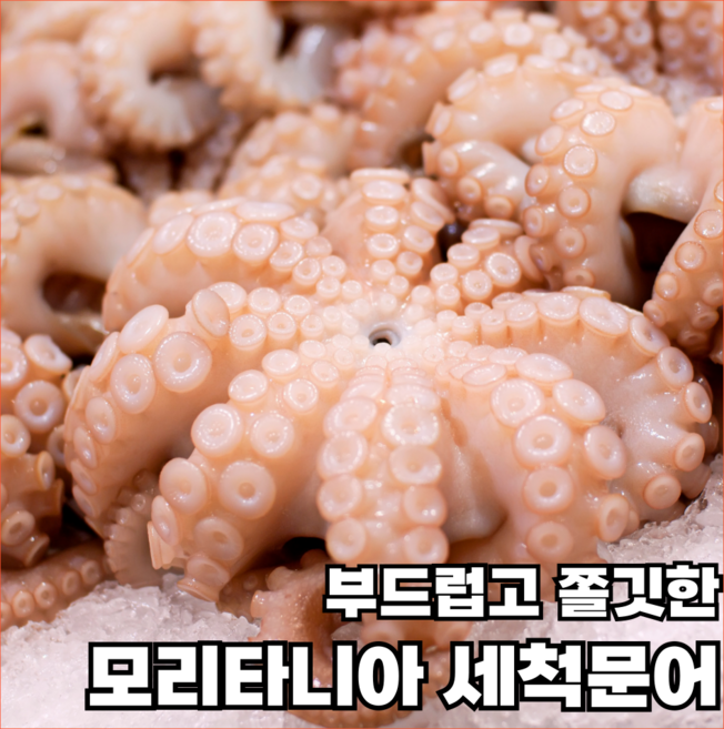 [프리미엄 A급] 모리타니아 세척 문어 8kg, 1박스, 400~500g(19미전후)