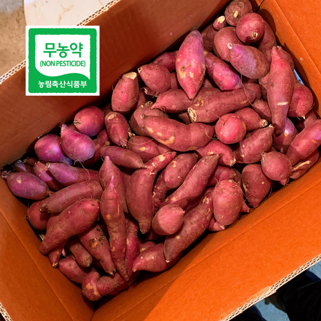 파머스넷 세척 무농약 꿀고구마 정품, 10kg 한입 (60g이하), 1개