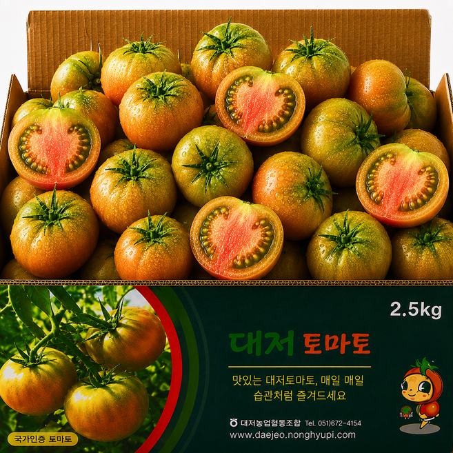 [재구매1위] 당도폭발 대저토마토 짭짤이, 1개, 2.5kg (L)