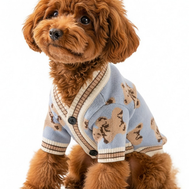 알로하모아 강아지 가디건 반려동물 니트 외출복, 1개, 블루