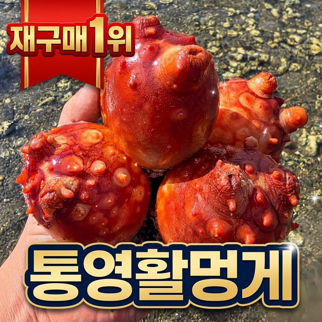 통영 활 멍게 당일조업 초특가, 1박스, 3kg 가성비최강 36-45미 내외