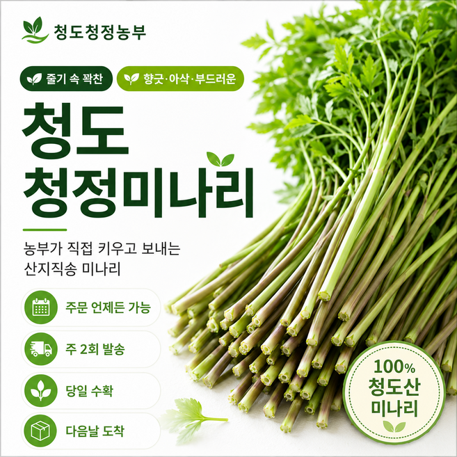 청도 미나리 1kg, 1박스