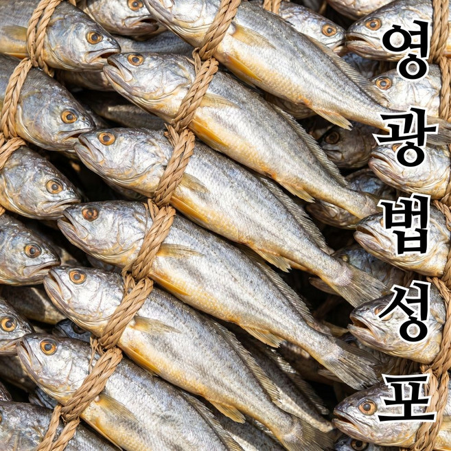 착한수산 덕장직송 영광굴비 국산굴비 법성포굴비 굴비역걸이 참조기, 1개, 1kg 20미 15-18cm