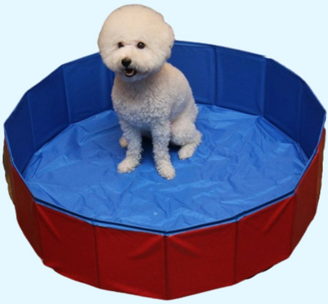 애견 강아지 수영장 접이식 대형견 욕조 풀장 볼풀장, 접이식 수영장 욕조 1p, 1개