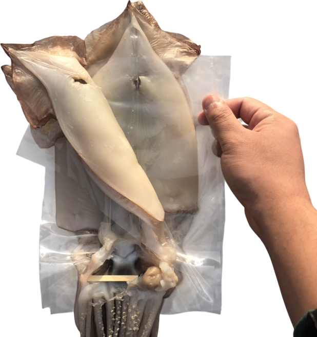 반건조 오징어 피데기 10마리 위생건조, 1세트, 중(10미,1.1kg내외)