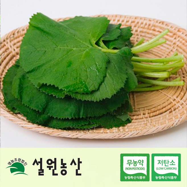 강원도 국내산 곰취 곰취나물 곤달비 산나물 봄나물 산지직송, 1개, 1kg