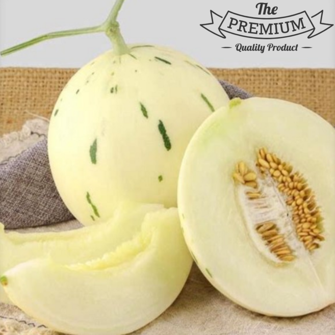 <딱한달만> 명품메론 고당도 가야백자 메론, 1박스, 1통