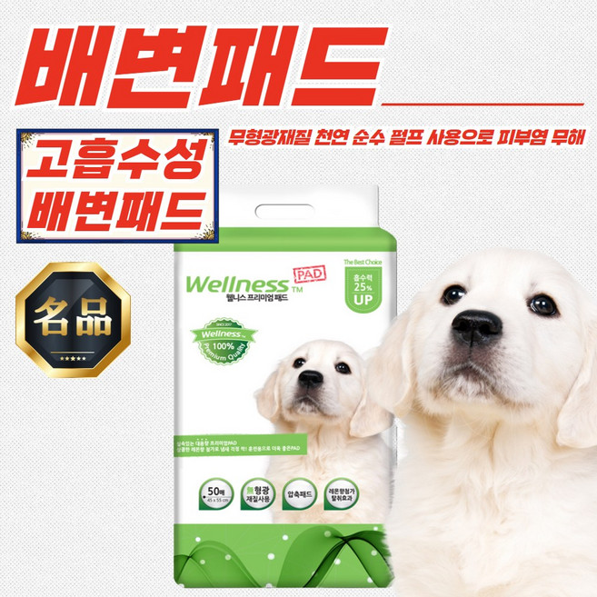 1+1 웰니스 그린 애견 배변패드 (45cm x 55cm) 50매 x 6세트, 1개