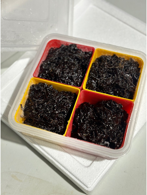 2026년 생애 첫 초벌 곱창김 생김 물김 락앤락포장, 500g, 2개