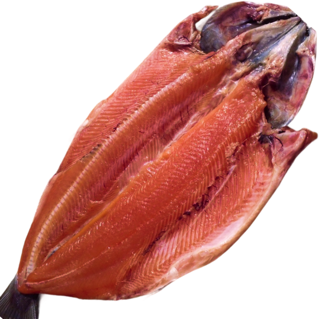 반건조 송어 연어 국내산 바다송어 자연산 강원도조업, 1개, 반건조 송어 900g이상 2-4미