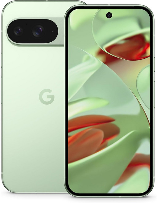 Google Pixel 9 미국판 공기계 잠금해제, 256GB, Wintergreen