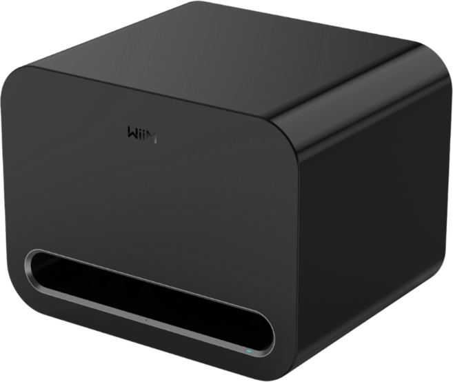 WiiM SUB PRO 重低音喇叭, 黑色, WIIM SUB PRO(1個)