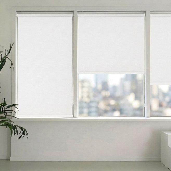 PRQSHADE 무지 암막 롤스크린 블라인드