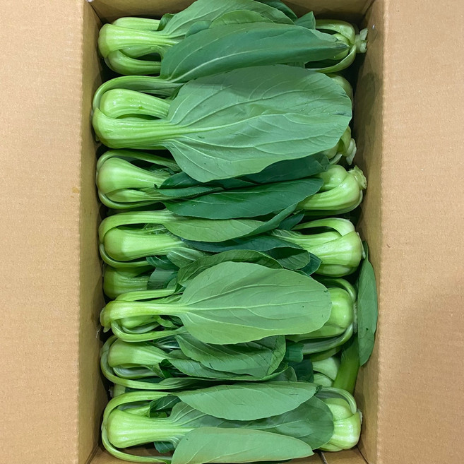 맛통령 국내산 청경채, 1개, 4kg