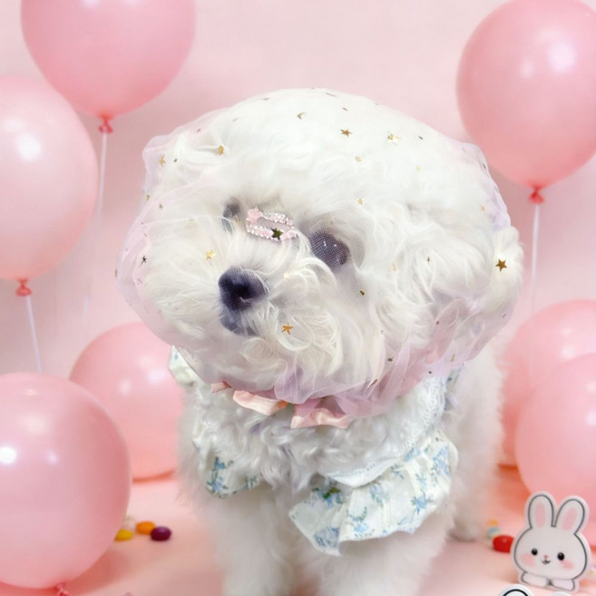 달링펫 강아지 얼굴망 취식금지 망사 헤드커버, 1개, 핑크별