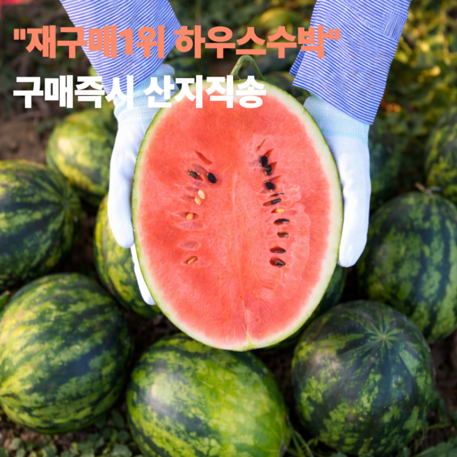 재구매1위 하우스수박 산지직송 프리미엄 특품, 1박스, 6kg