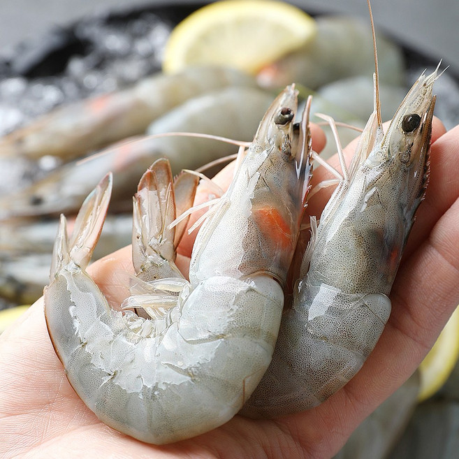 물고기삼촌 흰다리 새우 대하 1kg 약32미 내외, 1개