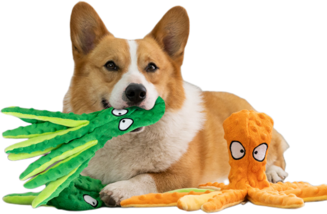 네고지오 삑삑 바스락 문어 장난감 2P, 그린, 오렌지, 1세트