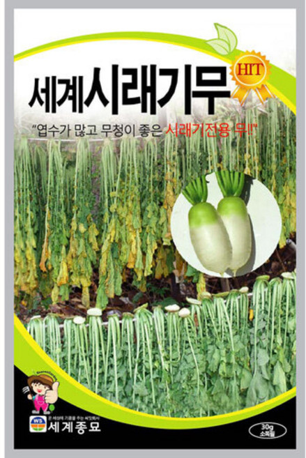 세계시래기무 30g / 무우씨 무씨앗 김장무, 4개