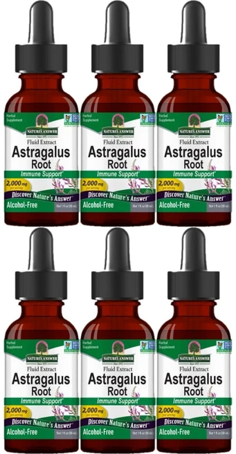 네이처스앤서 고흡수 아스트라갈루스 황기 뿌리 2000mg 액상 액체, 6개, 30ml - 쿠팡