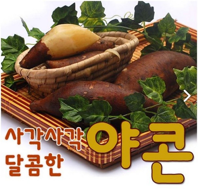 2025 국산 생 야콘즙용1kg 9900 햇 야콘 생야콘 햇야콘 생식용, 1박스, 1kg (야콘중상품즙용)