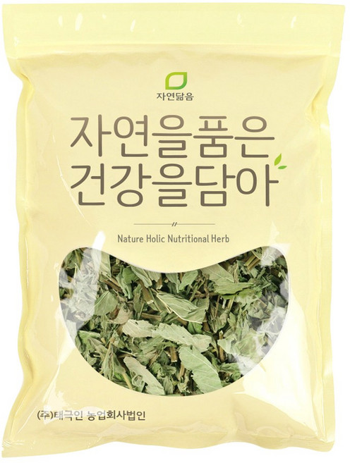 자연닮음 국산 박하 민트차 300g 박하잎, 1개, 1개입