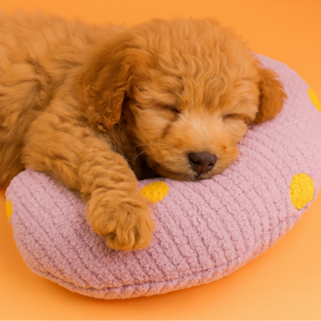 강아지 고양이 귀여운 말랑꿀잠 반달베개 휴식 쿠션, 1개, 퍼플