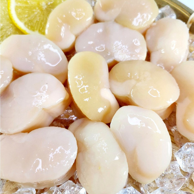 수산잇츠 냉동 키조개 통관자, 1개, 500g