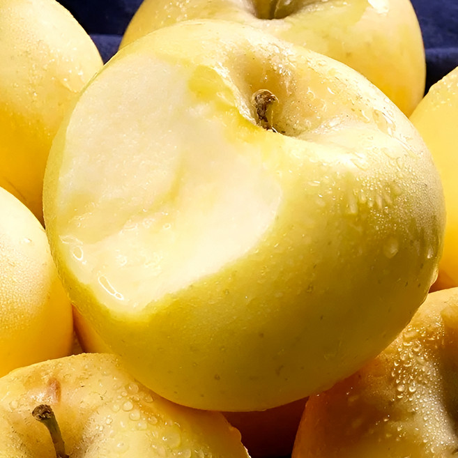 [재구매율1위] 천상의맛 시나노 골드 사과, 1박스, 1kg